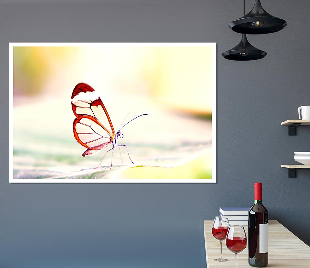 Transparent Winged Butterfly Print Poster Wall Art