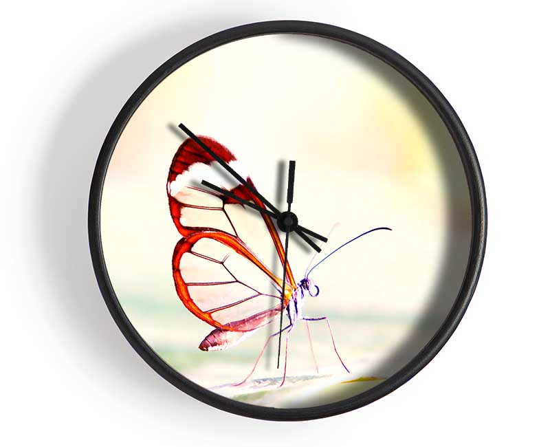 Transparent Winged Butterfly Clock - Wallart-Direct UK