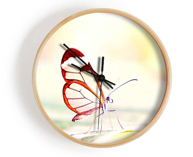 Transparent Winged Butterfly Clock - Wallart-Direct UK