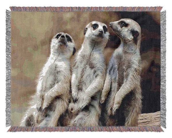 Trio Of Leaning Meerkats Woven Blanket