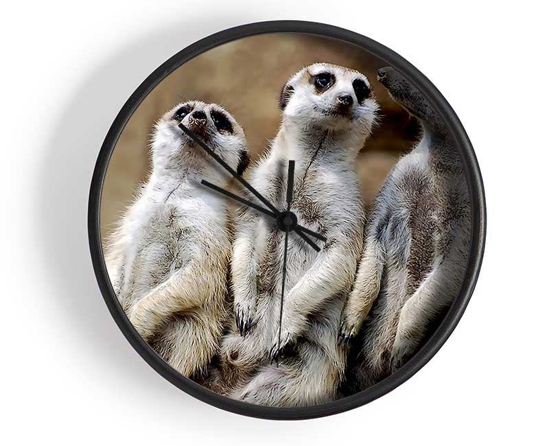 Trio Of Leaning Meerkats Clock - Wallart-Direct UK