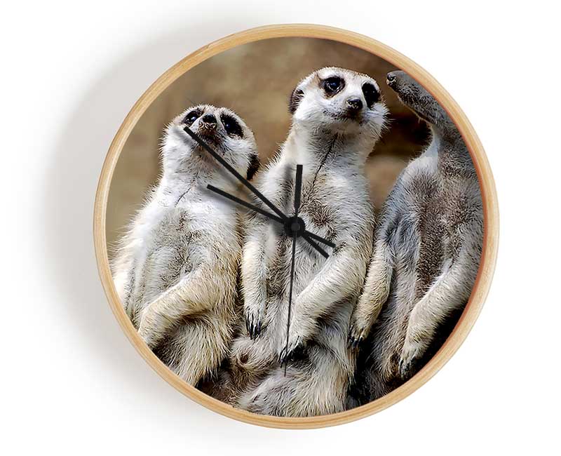 Trio Of Leaning Meerkats Clock - Wallart-Direct UK