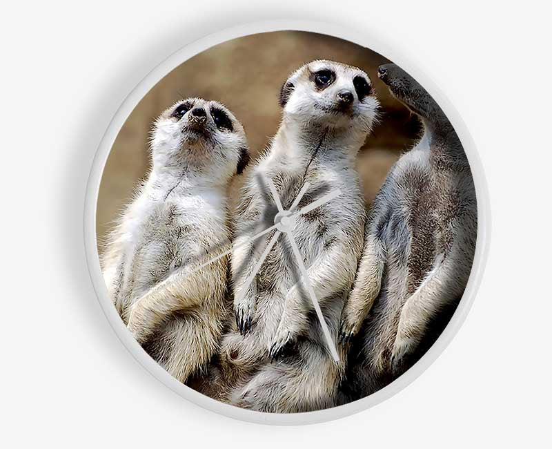 Trio Of Leaning Meerkats Clock - Wallart-Direct UK