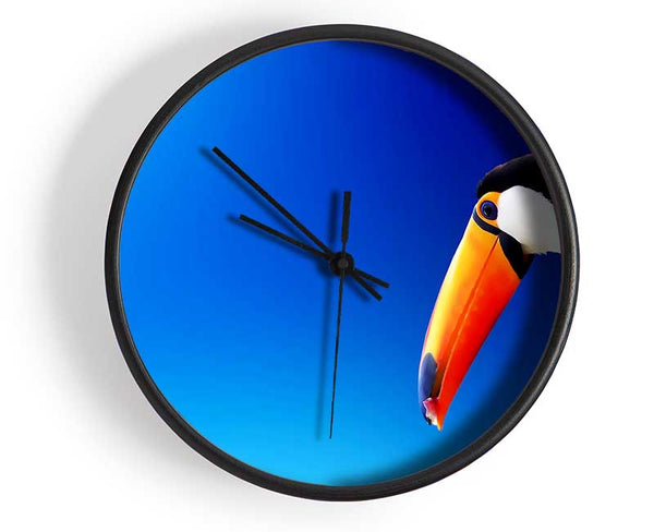 Tucan Beauty Clock - Wallart-Direct UK