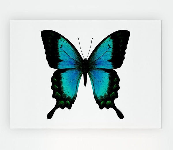 Turquoise Butterfly Wings Print Poster Wall Art