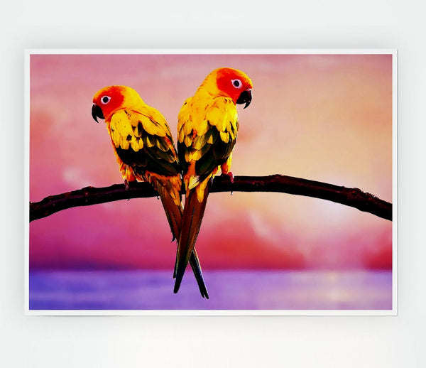 Twin Parrots Print Poster Wall Art