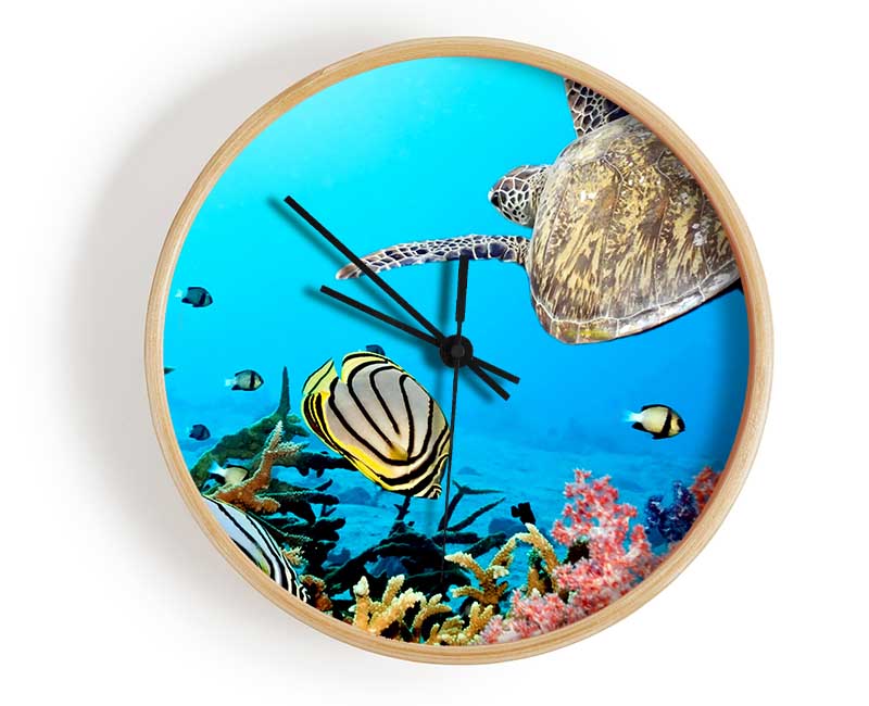 Underwater Turtle And Fish Clock - Wallart-Direct UK