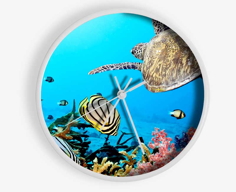 Underwater Turtle And Fish Clock - Wallart-Direct UK