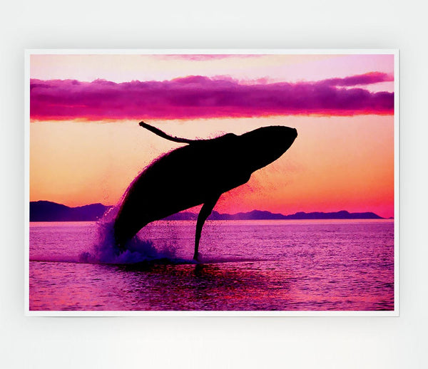 Whale Fun Print Poster Wall Art