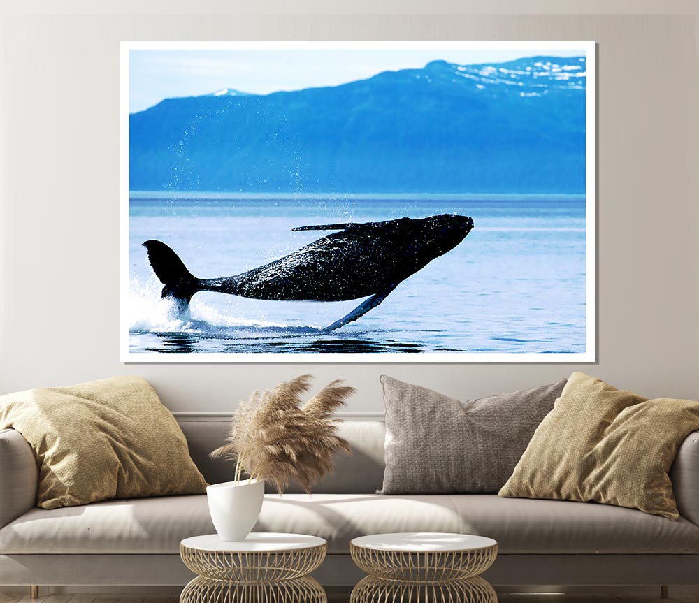 Whale Of A Time Print Poster Wall Art