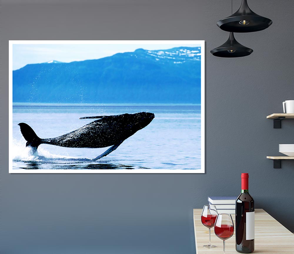 Whale Of A Time Print Poster Wall Art