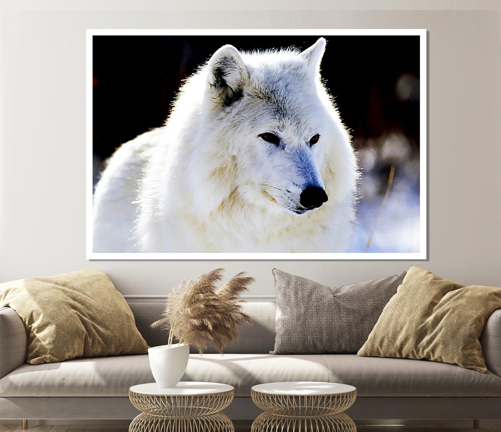 White Arctic Wolf Print Poster Wall Art