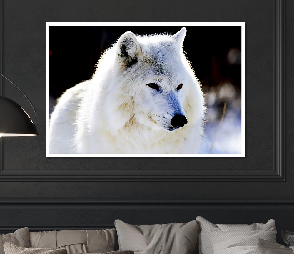 White Arctic Wolf Print Poster Wall Art