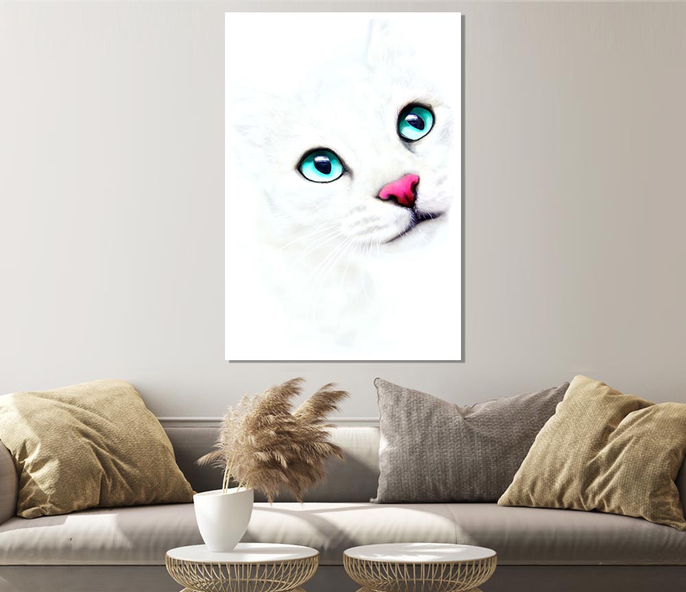 White Cat Blue Eyes Print Poster Wall Art