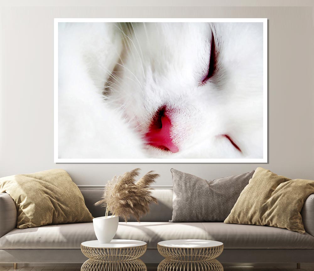White Fluffy Cat Print Poster Wall Art