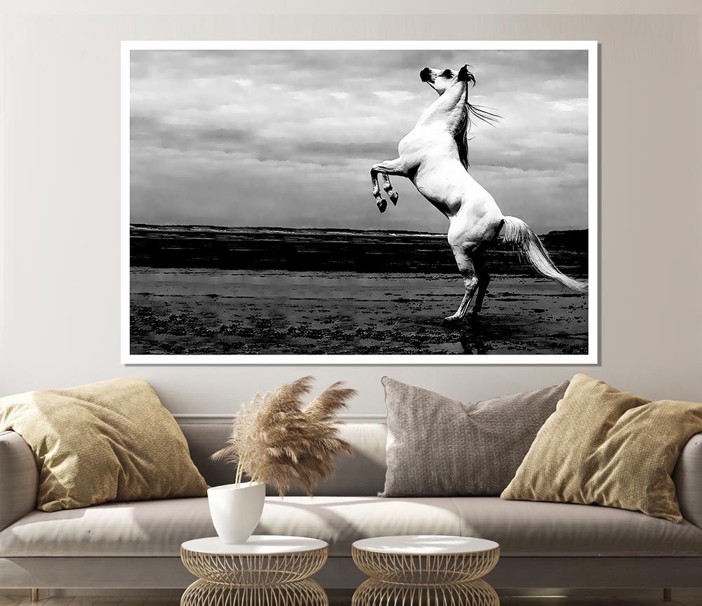 White Horse Beauty Print Poster Wall Art