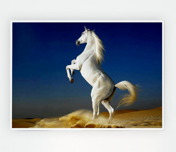 White Horse Stance Print Poster Wall Art