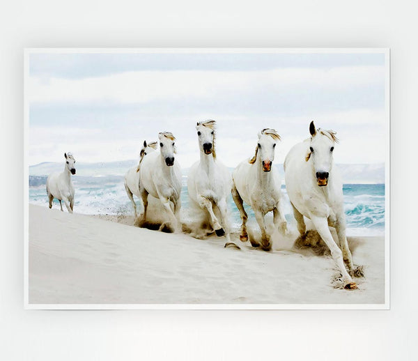 White Ocean Horses Print Poster Wall Art