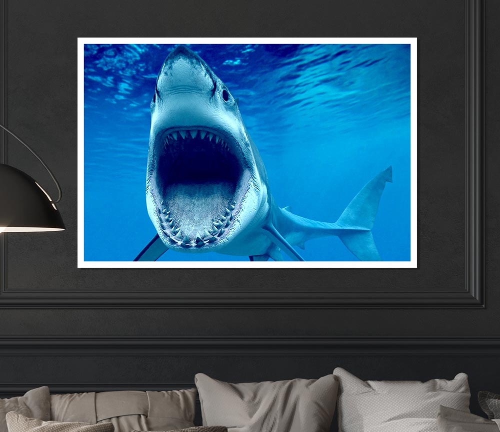 White Shark Teeth Print Poster Wall Art