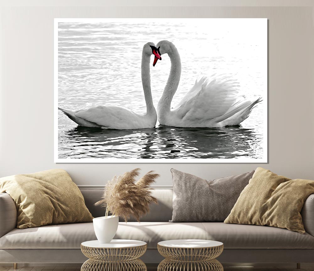 White Swans 2 Print Poster Wall Art