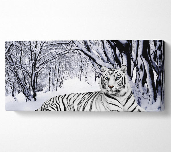 Weißer Tiger im Schnee