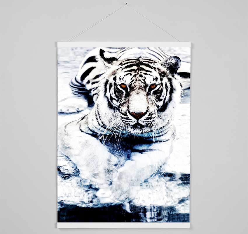 White Tiger Stare Hanging Poster - Wallart-Direct UK