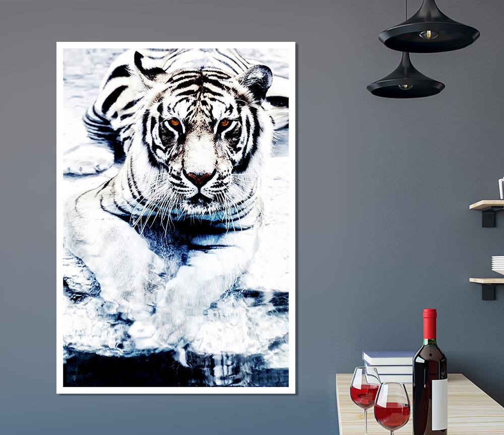 White Tiger Stare Print Poster Wall Art