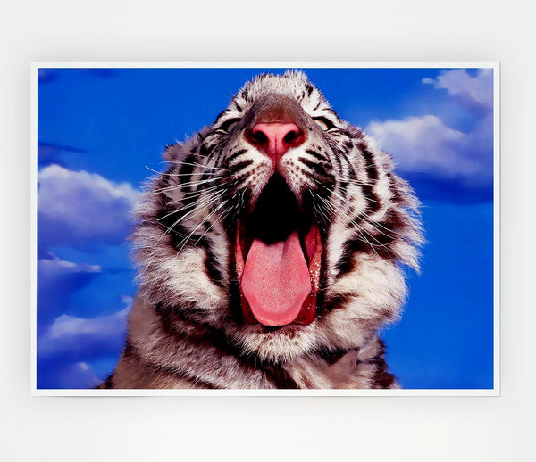 White Tiger Yawn Print Poster Wall Art