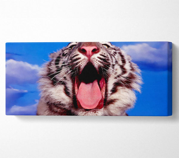 Weißer Tiger gähnt