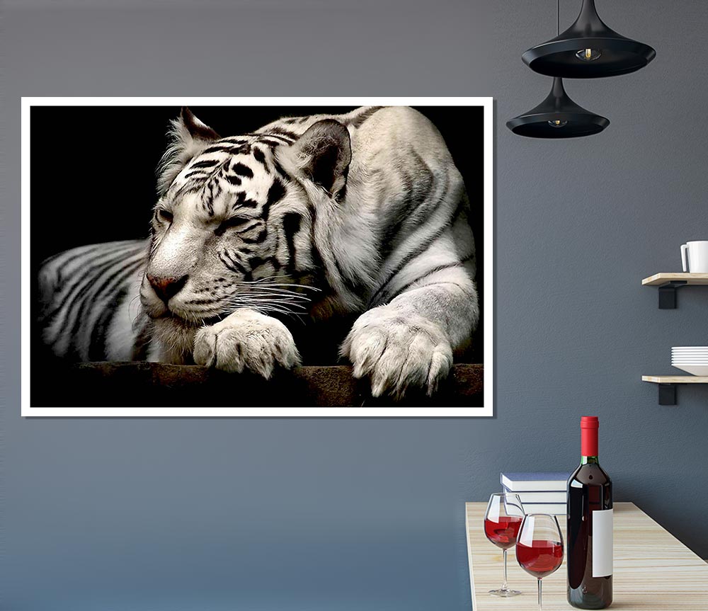 White Tiger Rest Print Poster Wall Art