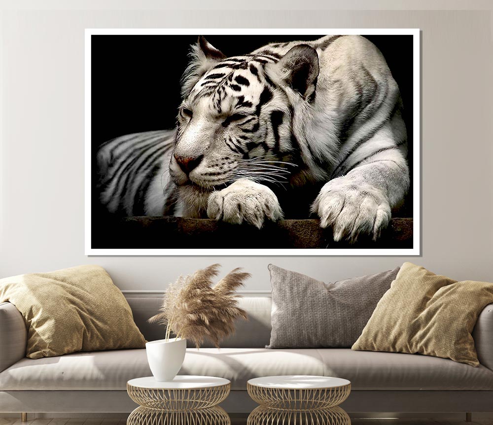 White Tiger Rest Print Poster Wall Art