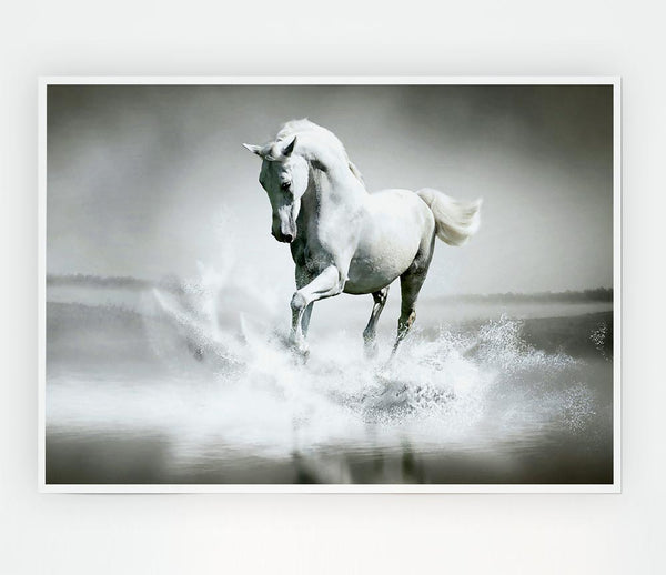 White Water Horse Print Poster Wall Art