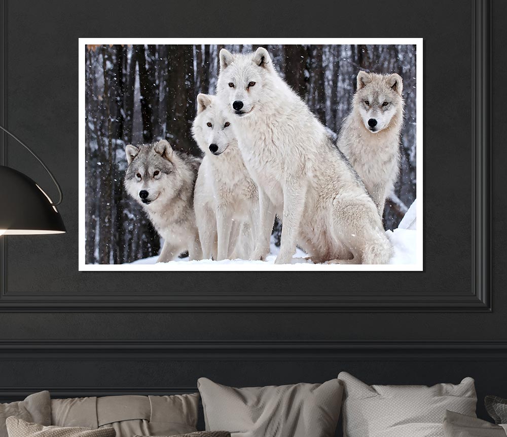 White Wolf Pack Print Poster Wall Art