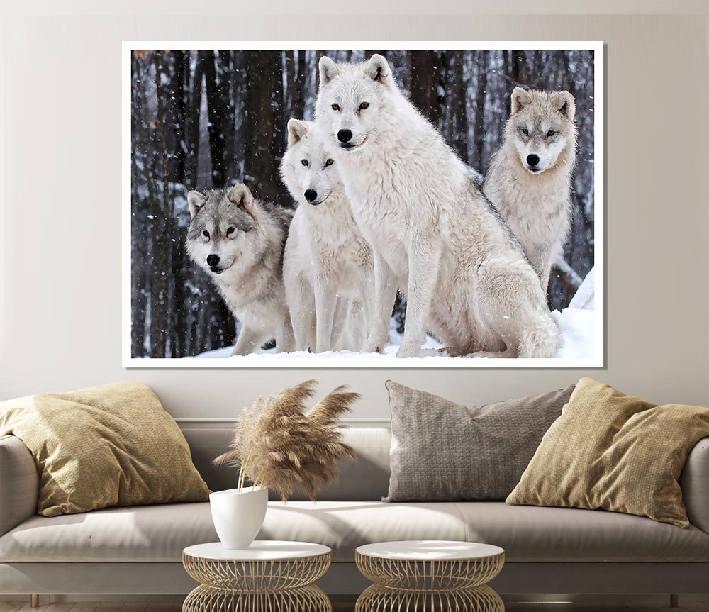 White Wolf Pack Print Poster Wall Art