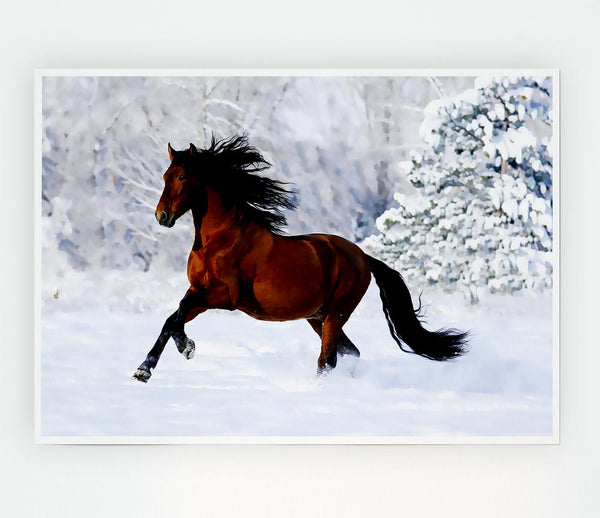 Wild Horse In The Snow Print Poster Wall Art