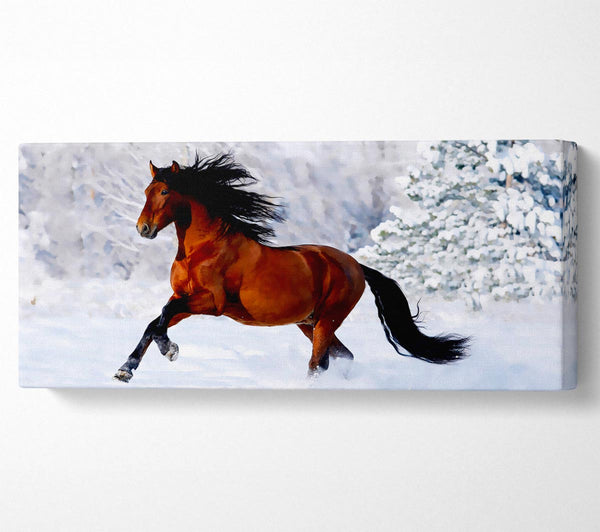 Wildes Pferd im Schnee