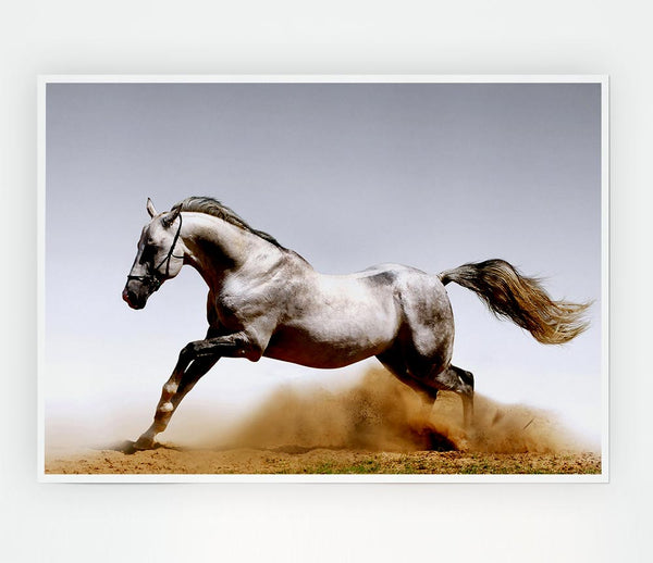 Wild Horse Running Print Poster Wall Art