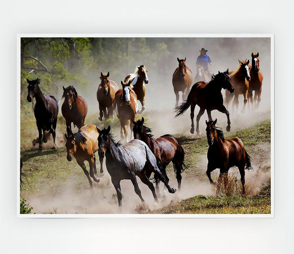 Wild Horse Stampede Print Poster Wall Art