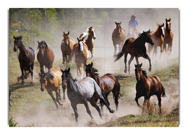 Wild Horse Stampede