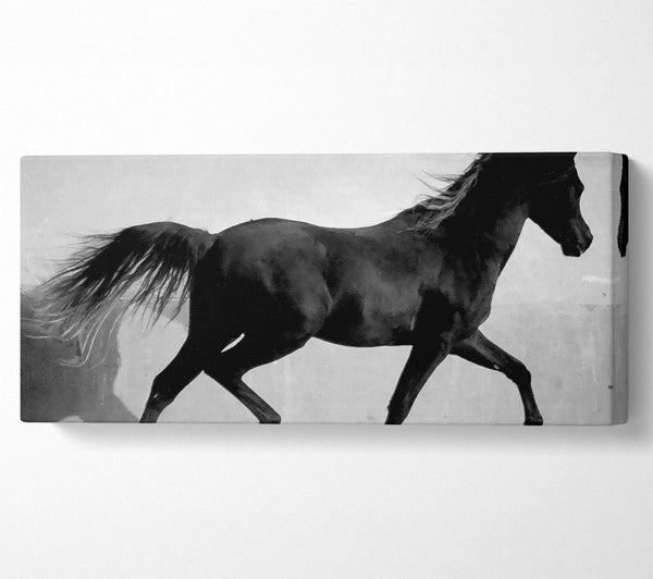 Wilde Pferde B n W