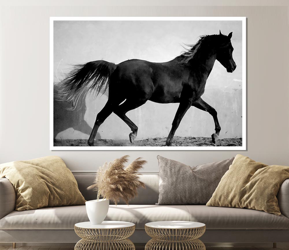 Wild Horses B N W Print Poster Wall Art