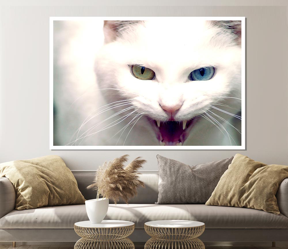 Wild White Cat Print Poster Wall Art