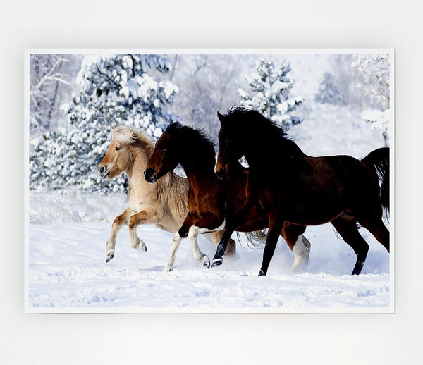 Wild Winter Horses Running Print Poster Wall Art