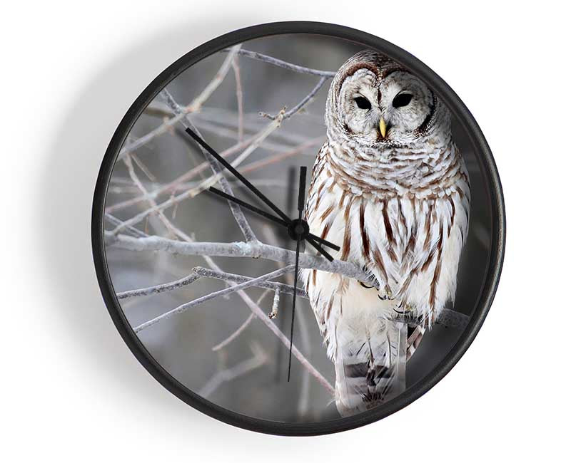 Winter Owl Clock - Wallart-Direct UK