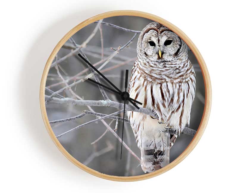 Winter Owl Clock - Wallart-Direct UK