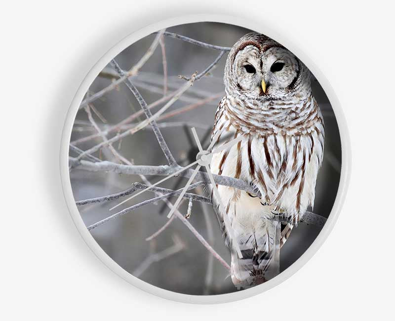 Winter Owl Clock - Wallart-Direct UK