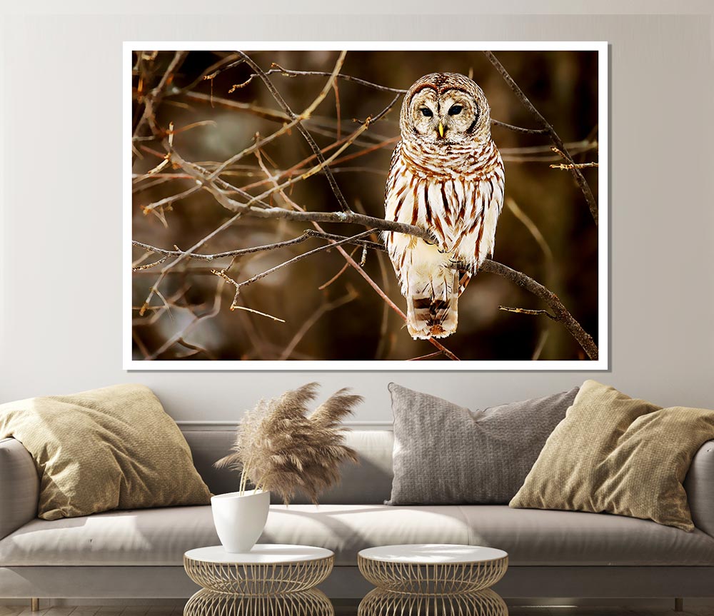 Wise Owl Print Poster Wall Art
