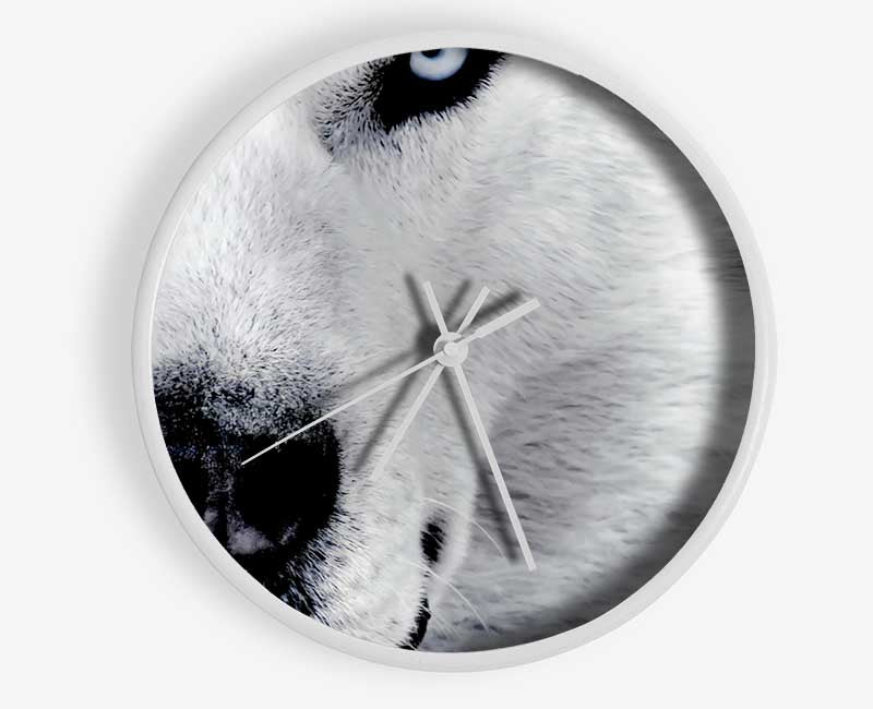 Wolf Eyes Clock - Wallart-Direct UK