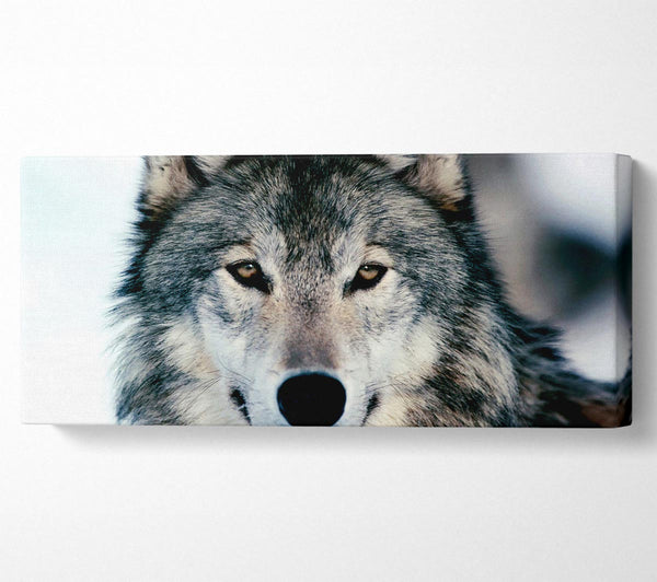 Wolfsgesicht