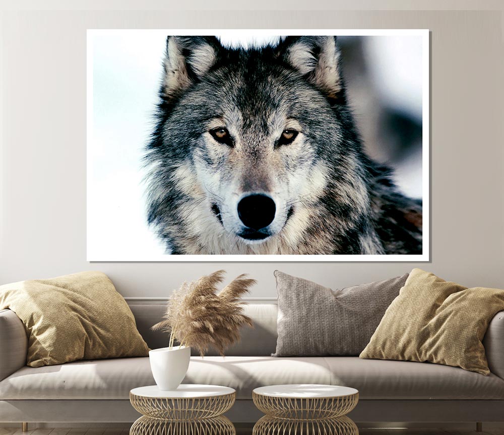 Wolf Face Print Poster Wall Art